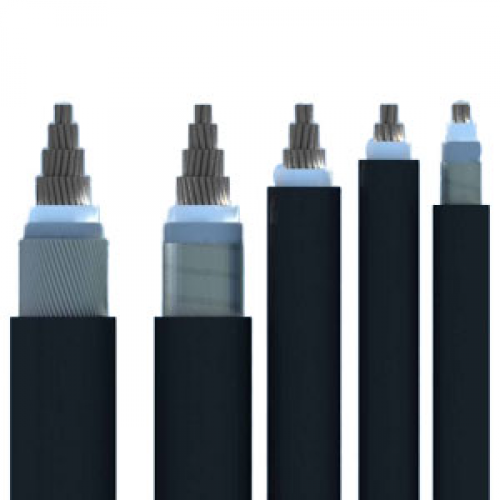 Cáp nhôm trung thế Cadivi 12/20(24)kV  AsXV, AXV/S-DATA, AXV/SE-DSTA, AXV/S/AWA, AXV/SE/AWA; AXV/S, AXV/SE, AX1V và AX1V/WBC