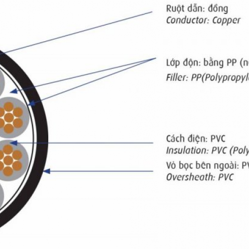 Cáp điều khiển DVV (Cáp điều khiển DVV-Cu/PVC/PVC 0.6/1kV Cadivi)