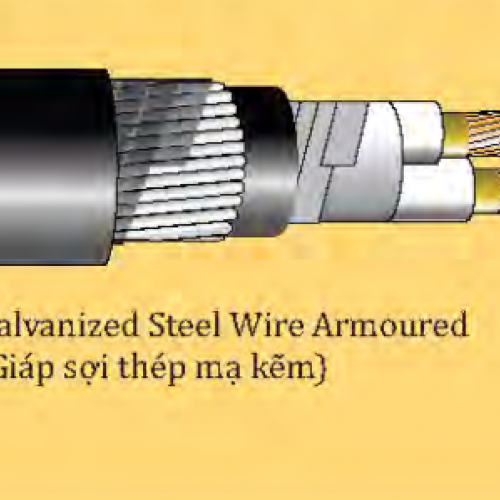 Cáp Lsvina chống cháy hai lõi, bọc cách điện XLPE, bọc vỏ PVC - FRN/CXV-Cu/Mica/XLPE/Fr-PVC