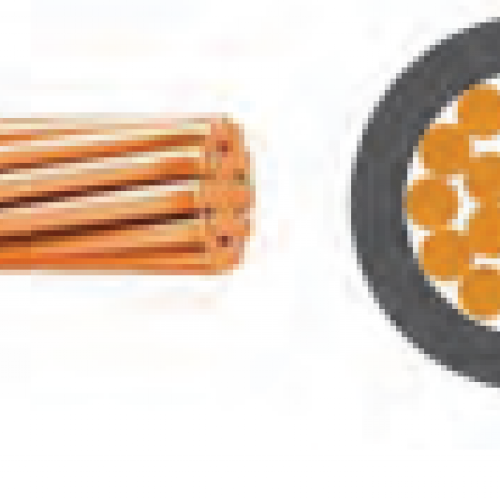 Dây đơn Lsvina cứng bọc cách điện Cv-Cu/PVC 0.6/1kV