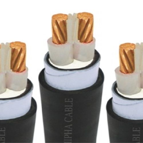CÁP ĐỒNG 2 LÕI Cu/XLPE/PVC-CXV2x Goldcup