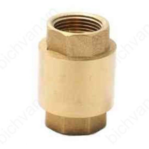 Van 1 chiều đồng lò xo