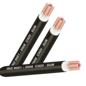  CÁP ĐỒNG 4 LÕI BỌC CÁCH ĐIỆN Cu/XLPE/PVC-CXV3x+1 Cadisun