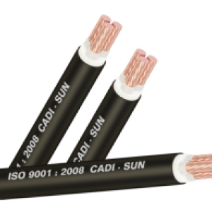 CÁP ĐỒNG BA BỌC CÁCH ĐIỆN Cu/XLPE/PVC - CXV3x Cadisun