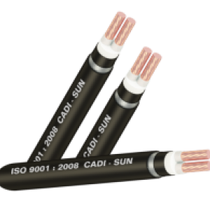 CÁP NGẦM 2 LÕI Cu/XLPE/PVC/DSTA/PVC-DSTA2x Cadisun