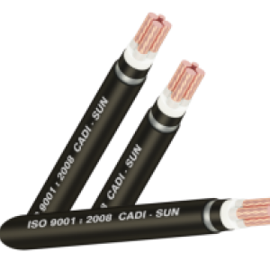 CÁP NGẦM 4 LÕI (1 TRUNG TÍNH) Cu/XLPE/PVC/DSTA/PVC-DSTA3x+1 Cadisun