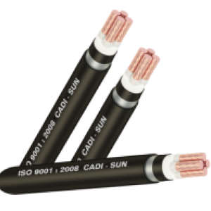 CÁP NGẦM 4 LÕI Cu/XLPE/PVC/DSTA/PVC-DSTA4x Cadisun